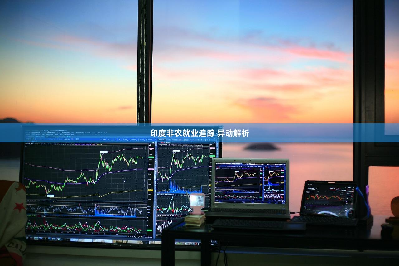 印度非农就业追踪 异动解析