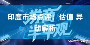 印度市场点评：估值 异动解析
